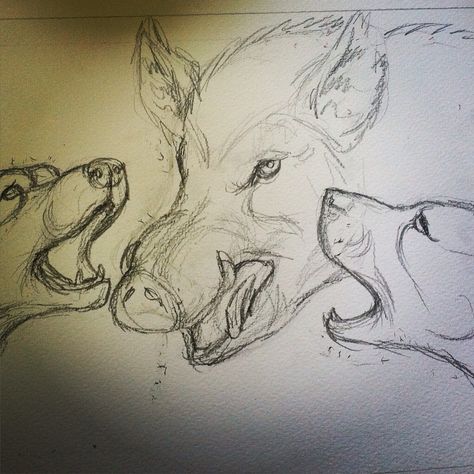 A logo design in progress! Pig Hunting Tattoos, Hog Hunting Tattoos, Hog Tattoo, Pig Hunting Dogs, Hunting Drawings, Pig Hunting, Wild Boar Hunting, Hunting Tattoos, Boar Hunting