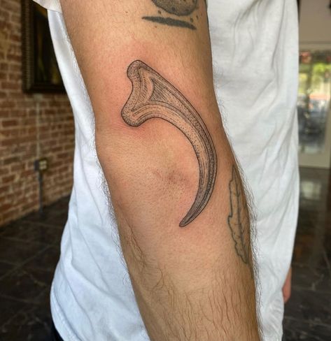 Dinosaur Claw Tattoo, Velociraptor Claw Tattoo, Teradactyl Tattoo, Raptor Claw Tattoo, Tattoo Dino, Velociraptor Tattoo, Raptor Claw, Jurassic Park Tattoo, Atlanta Tattoo