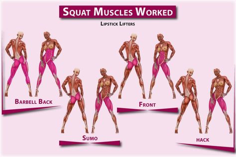 What Muscles Do Squats Work? - Lipstick Lifters - Building Strong Women Squat Muscles Worked, Squats Muscles Worked, 30 Day Squat, Squat Form, 30 Day Squat Challenge, Squat Variations, Postpartum Health, Squat Challenge, Sumo Squats