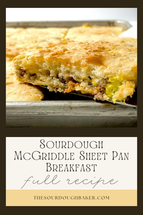 Full recipe + video detailing how to make this McGriddle Sheet Pan Sourdough Breakfast. This recipe uses an entire three cups of sourdough discard to make the pancake portion of this breakfast! With just five ingredients - discard, milk, maple syrup, baking soda, and salt - and your choice of prepared fillings, this easy discard recipe comes together extremely quick and will be a winner for the whole family. Sourdough Breakfast Bake, Pancake Sourdough Discard, Quick Easy Discard Recipes, Sourdough Discard Sheet Pan Pancakes, Easy Sourdough Discard Breakfast, Discard Sourdough Breakfast Recipes, Sourdough Recipes Breakfast, Sourdough Discard Breakfast Casserole, Sourdough Discard Carrot Cake