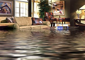 san diego water damage Flooded Room, Water Restoration, Water Flood, Water Damage Repair, Flood Damage, Port Arthur, Mold Remediation, Waterproofing Basement, Fire Damage