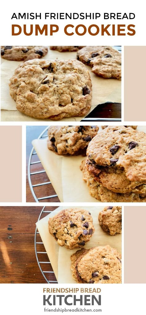 Dump Cookies, Herman Cake, Amish Starter, Amish Baking, Amish Bread Starter, Amish Cookies, Amish Bread Recipes, Starter Bread, Sourdough Cookies