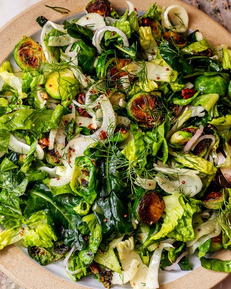 Shaved Fennel Salad | Tried and True Recipes Kale Fennel Salad, Wilted Greens Salad, Roasted Vegetables With Fennel, Fresh Winter Salad, Shaved Fennel Salad, Vegan Warm Salad, Seasonal Eating Winter, Leek Salad Recipes, Fennel Recipes Salad