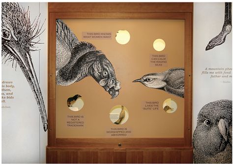 Bird Exhibition, Minerals Museum, Graphic Panels, Museum Exhibition Design, Wayfinding Design, Bird Calls, Museum Displays, Exhibition Display, Environmental Design