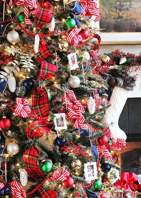 Love this this classic look! Traditional Plaid Christmas Tree at Positively Splendid #MichaelsMakers Plaid Christmas Tree Decorations, Buffalo Plaid Christmas Tree, Festival Of Trees, Tartan Christmas, Plaid Christmas Tree, Real Christmas Tree, Unique Christmas Trees, Christmas Themes Decorations, Ribbon On Christmas Tree