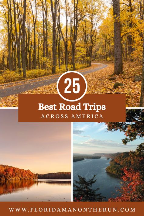 You don't have to look any further than this list of great road trips across America. Featuring trips from states all around the country, they are all great in pretty much any season. If you're a lover of road trips, then check out this list and start planning your next big trip! #roadtrips #roadtripinspiration #bestroadtrips #scenicdrives #scenicroadtrip Best Road Trips In America, America Road Trip, Usa Road Trips, United States Road Trip, Road Trip Across America, South Usa, Best Road Trips, Road Trip Map, Florida Man