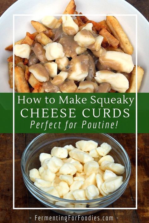 Squeaky Cheese Curds - Fermenting for Foodies Cheese Curd, Homemade Cheese Curds, Cheese Curds Recipe, Cheese Recipes Homemade, Cheese Making Recipes, Diy Cheese, Goat Milk Recipes, Chili Cheese Fries, Furano