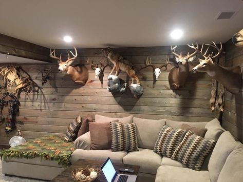 Deer Mounts In Living Room, Trophy Rooms Hunting, Rustic Projects, Deer Hunting Decor, Deer Mounts, Hunting Room, Basement Bar Designs, Hunting Decor, Trophy Rooms