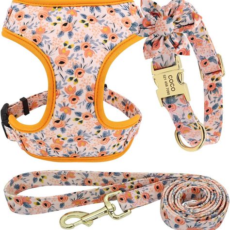 Collar, Harness & Leash Set Boho Dog Collar, Yorkie Poodle, Tactical Dog Harness, Boho Dog, Rosé Dog, Dog Vest Harness, Custom Dog Collars, Yorkshire Terriers, Personalized Dog Collars