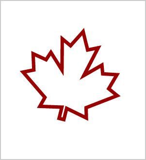 Maple Leaf Outline, Maple Leaf Tattoos, Canada Leaf, Canadian Tattoo, Canada Tattoo, Canada Winter, Canadian Clothing, Unique Small Tattoo, Tattoo Travel