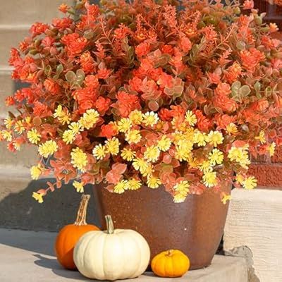 40% off Outdoor Artificial Fall Flowers Discount price: 15.59-16.19 Discount code: 20UP9V1W https://geni.us/6JAPXe [AD] *Possible Commissions earned on Qualifying Purchases. Deals, Discounts, Prices and codes and change at anytime. LEAVE A 👍IF YOU Snag it. #alertalert #viralpost Holiday Floral Arrangements, Garden Window, Plants Outdoor, Fall Floral Arrangements, Artificial Plants Outdoor, Plastic Flower, Holiday Floral, Porch Garden, Outdoor Flowers