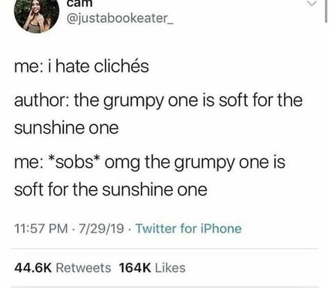 Grumpy X Sunshine, I Want A Relationship, Cant Have You, Sunshine Quotes, Reading Rainbow, Favorite Book Quotes, Book Writer, Couple Quotes, Lose My Mind