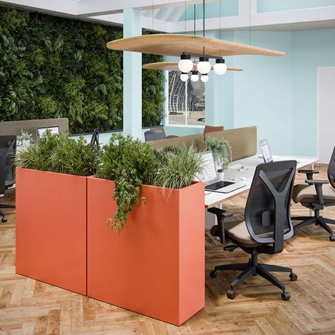 Office Planter for End of Desks Office Planters Indoor, Emersive Experience, Office Planters, Staff Wellbeing, Commercial Planters, Biophilic Design, Office Plants, Interior Plants, Metal Planters