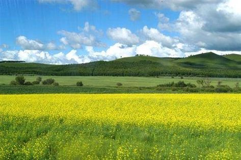 Temperate grassland Temperate Grassland, Grassland Biome, Medieval Games, Exterior Rendering, Book Writing Inspiration, Overlays Transparent, Autumn Scenes, Inner Mongolia, I Want To Travel