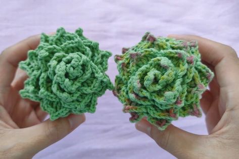 How to Crochet Mini Succulent Pot For Home Decor Tulip Decor, Home Entryway, Zinnia Flowers, Crochet Panda, Crochet Sunflower, Mini Succulents, Flower Frog, Succulent Plant, Succulent Pots