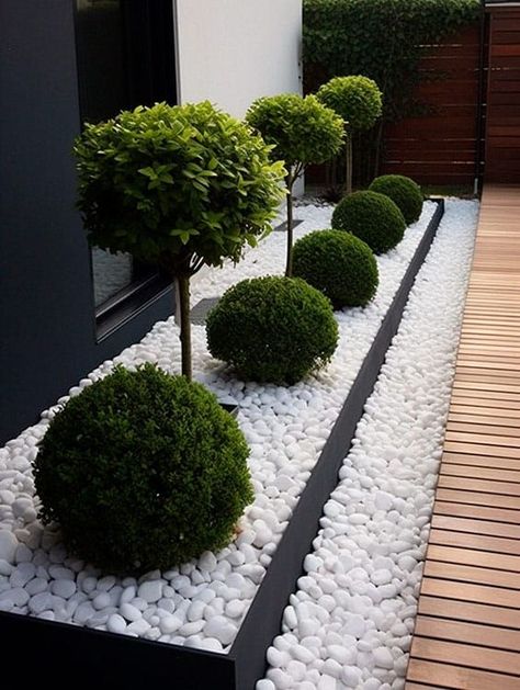 Decorating yards isn’t my only passion – I always scout for ​patio landscaping ideas on a budget. I like keeping simple yet attractive designs, just like this one. Modern Garden Landscaping, Moderne Have, Front Garden Landscape, Small Front Yard Landscaping, Modern Backyard Landscaping, Front Garden Design, Back Garden Design, Front Yard Design, Patio Garden Design