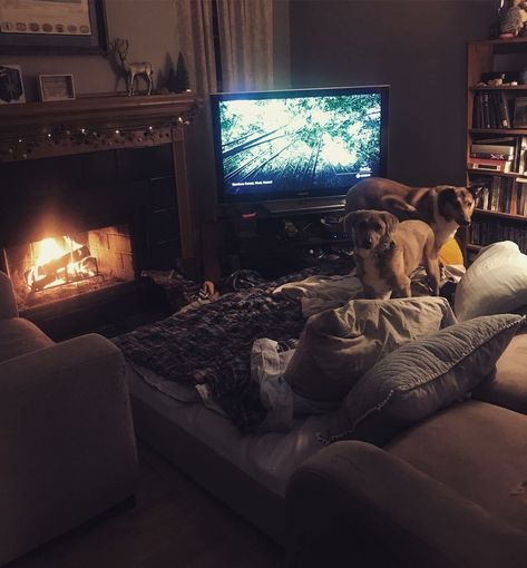 Gloomy Aesthetic Bedroom, Maggie Aesthetic, Tuscan Bedroom, Cuddle Couch, Bedroom Aesthetic Cozy, Tumblr Bedroom, Tuscan Style Homes, Snowed In, Cozy Dog Bed