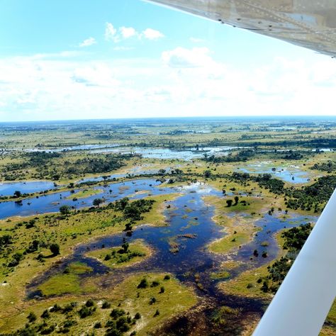 Nestled in the heart of Botswana lies one of the world’s most extraordinary natural wonders, the Okavango Delta. Known for its unparalleled biodiversity and stunning landscapes, the Okavango Delta is a premier safari destination that offers a truly unique and immersive wildlife experience.🦛 Deciding when the right time to travel on safari heavily depends on your to-do list. To help determine what season fits your traveling wants and needs, read this week’s blog about the Okavango Delta on ou... Botswana Gaborone, Delta Lake Hike, Botswana Sunset, Okavango Delta Botswana, Lake Bogoria Kenya, Okavango Delta, Botswana, In The Heart, Natural Wonders