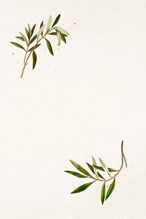 Olive branch pattern on a beige background template vector | premium image by rawpixel.com / NingZk V. Hummingbird Illustration, Olive Wreath, Instagram Background, Background Template, Vector Background Pattern, Flower Background Wallpaper, Olive Leaf, Instagram Frame, Olive Branch