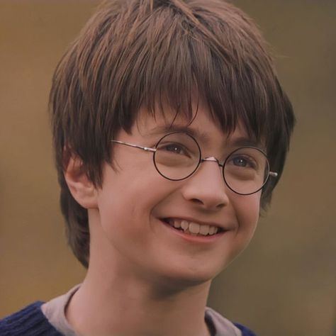 The Philosophers Stone, Harry Potter 2001, Daniel Radcliffe Harry Potter, Philosophers Stone, Harry Potter Icons, Harry Potter Gif, Harry James, Harry James Potter, Harry Potter 2