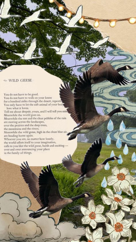 wild geese. #maryoliver #wildgeese #wildgeesepoem Winter Break Bucket List, Wild Geese Mary Oliver, Goose Tattoo, Mary Oliver Quotes, Mary Oliver Poems, Wild Geese, Mary Oliver, Winter Break, Backgrounds Phone Wallpapers