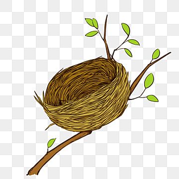 bird s nest bird s nest branch,yellow Nest Images, Yellow Png, Alphabet Crafts Preschool, Nest Art, Bird Clipart, Cartoon Birds, Spring Clipart, New Background Images, Bird Tree