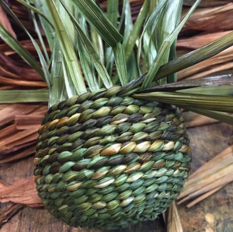 Baskets from the Garden: Harvesting Day Lily and Iris for Basket Weaving Diy Nature, Harvest Day, Basket Weaving Diy, Day Lily, Basket Weaving Patterns, Grass Basket, Willow Weaving, Natural Baskets, Pine Needle Baskets