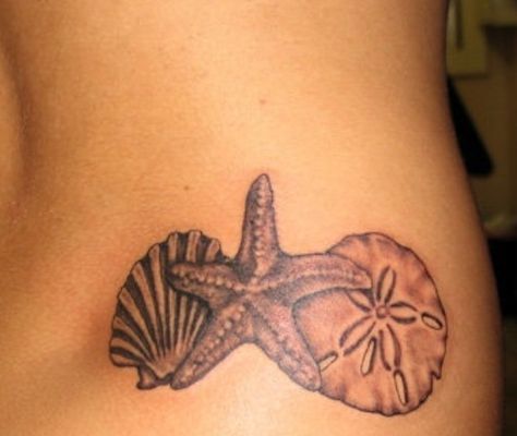 Maybe something like this, but with the sand dollar, a butterfly, and a cup of coffee or fall leaf or something... Tattoo Ideas Beach, Sand Dollar Tattoo, Seashell Tattoo, Hai Tattoo, Dollar Tattoo, Beachy Tattoos, Beach Tattoos, Starfish Tattoo, Seashell Tattoos