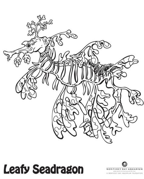 What colors will you make this leafy sea dragon?: Creative Haven Coloring Pages, Weird Animals Vbs, Dragon Coloring Pages, Leafy Sea Dragon, Dragon Coloring, Dragon Coloring Page, Ocean Crafts, Mermaids And Mermen, Underwater Creatures