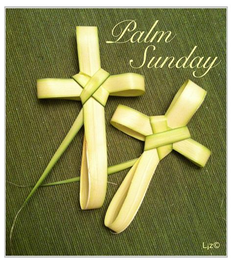 Palm Sunday Cross, Palm Sunday Decorations, Palm Cross, Palm Sunday Crafts, Good Morning Christmas, Palm Leaf Art, Palm Frond Art, Catholic Wallpaper, Palm Branch