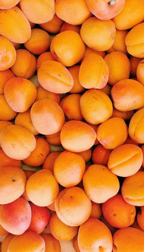 Le Orange à Rungis : L'Abricot ! Food Wallpapers, Aesthetic Objects, Fruit Wallpaper, Fruit Photography, Food Wallpaper, Orange Aesthetic, Orange Wallpaper, Nectarine, Jolie Photo