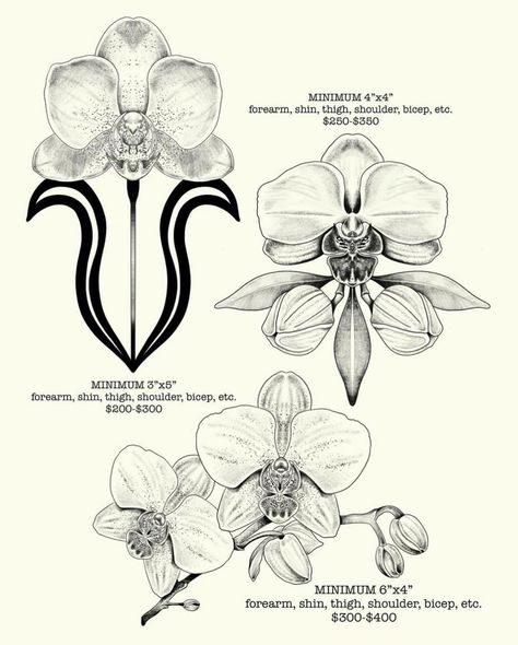 thank u @never.stop.exploring89 for getting this piece from my orchid/botanical flash!!! MORE BOTANICAL STUFF PLS <3 #botanical #botanicaltattoo #orchid #orchids #orchidtattoo #blackandgreytattoo #blackandgreytattoos #coloradoartist #coloradotattooartist #multimediaartist Cymbidium Orchid Tattoo, Orchid Anatomy, Orchid Outline, Jamie Tattoo, Orchids Tattoo, Orchid Drawing, Engraving Projects, Orchid Tattoo, Botanical Drawing