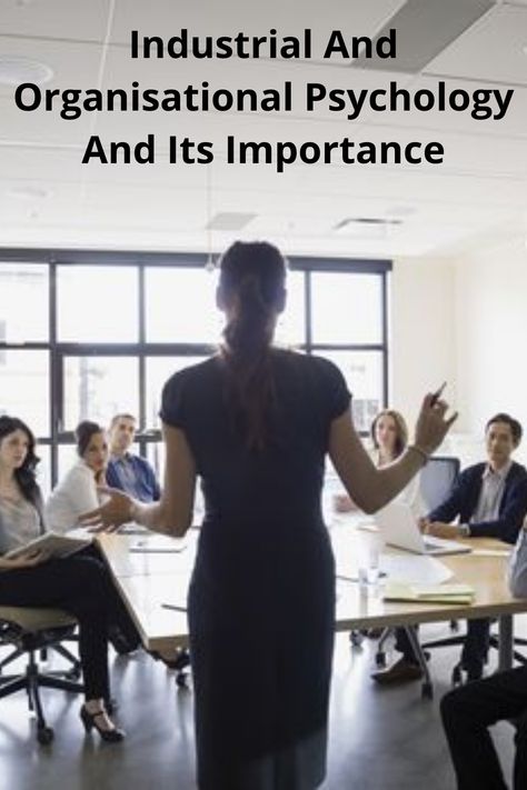 Industrial and organisational psychology is nothing but a study of an organization’s structure. It helps in analyzing how people interact with each other so that necessary improvements can be undertaken. Structuralism Psychology, Organisational Psychology, Industrial Organizational Psychology, Industrial Psychology, Organizational Psychology, Branches Of Psychology, Industrial And Organizational Psychology, Psychology Student, Work Place