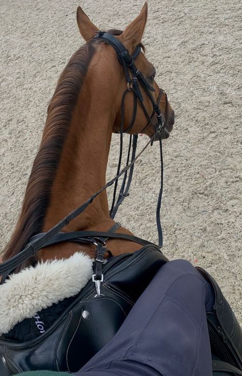 Horseback Riding Outfit, Aesthetic Equestrian, Riding Outfit Equestrian, Horsey Life, Horse Riding Aesthetic, Show Jumping Horses, Cute Horse Pictures, Horses Equestrian, Equestrian Aesthetic