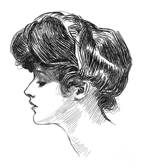 Gibson: Gibson Girl, C1904 Photograph  - Gibson: Gibson Girl, C1904 Fine Art Print Gibson Aesthetic, Charles Gibson, Edwardian Women, 1920s Aesthetic, Charles Dana Gibson, Edwardian Hairstyles, Dana Gibson, Victorian Illustration, Gibson Girl