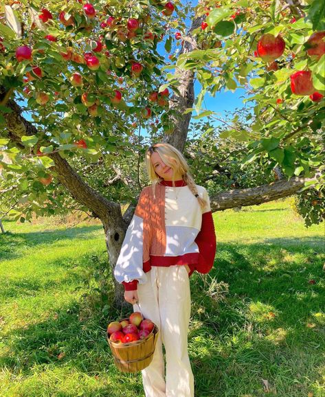 Apple Picking Pictures, Apple Picking Photos, Apple Picking Outfit, Digital Business Card, Fall Inspo, Fall Photoshoot, Apple Orchard, Instagram Pose, Apple Picking