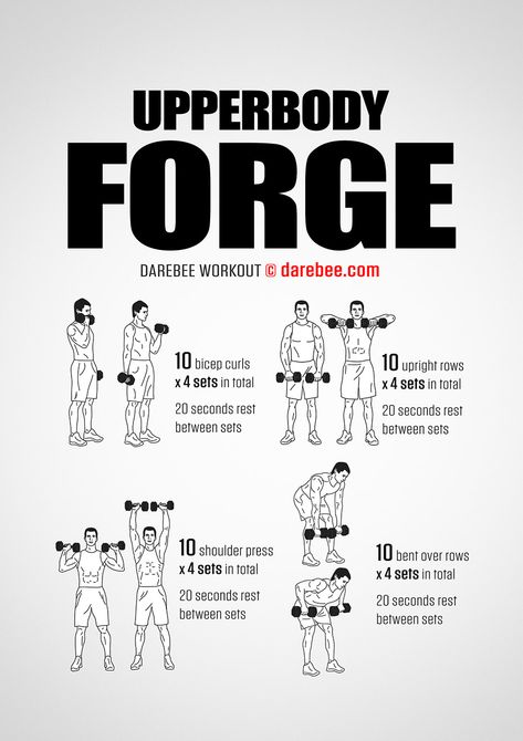 Upperbody Forge Workout Upper Body And Abs Workout, Dumbbell Workout Plan, Upper Body Workouts, Beginner Pilates, Dumbell Workout, Pilates Video, Workout Posters, Yoga Iyengar, Weight Training Workouts