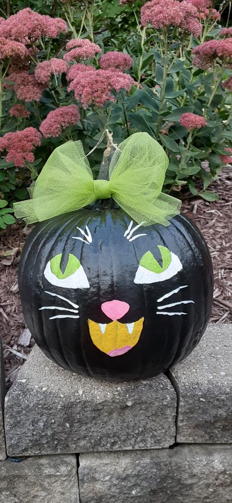 Pumpkin Halloween Painting Ideas, Black Cat Pumpkin Painting Ideas, Pumpkin Painting Ideas Black, Decorating A Pumpkin Without Carving, Painted Cat Pumpkin, Cat Painted Pumpkin, Black Cat Pumpkin Painting, Witch Pumpkin Painting, Cat Face Pumpkin