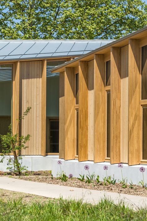 Larch Cladding, Timber Roof, Public Architecture, Recreation Centers, Public Building, School Architecture, Contemporary Architecture, Architecture Building, Primary School