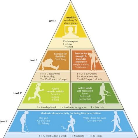 Physical Activity Pyramid Physical Activity Pyramid, Exercise Food, Muscular Endurance, Racquetball, Food Pyramid, Yard Work, Physical Activity, Flexibility Workout, Physical Education