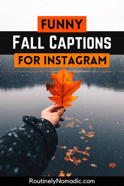 Person holding up fall leaf with funny fall captions for Instagram Fall Humor Quotes, Funny Fall Pictures, Fall Instagram Captions Funny, Funny Fall Quotes Autumn, Fall Couple Quotes Instagram, Ready For Fall Quotes Funny, Fall Instagram Captions With Friends, Funny Fall Quotes Autumn Hilarious, Leaf Captions For Instagram