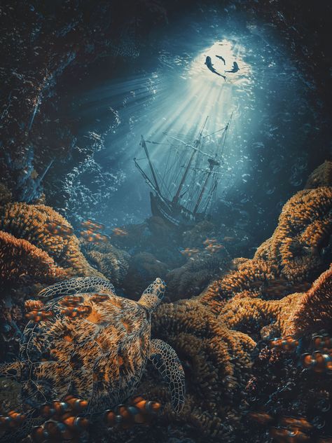 Matte Painting- Shipwreck, Erica Grenci on ArtStation at https://www.artstation.com/artwork/Eavz0A Underwater Shipwreck Art, Under The Ocean Art, Siren Shipwreck, Shipwreck Aesthetic, Fantasy Ocean Art, Shipwreck Drawing, Shipwreck Underwater, Shipwreck Painting, Shipwreck Art