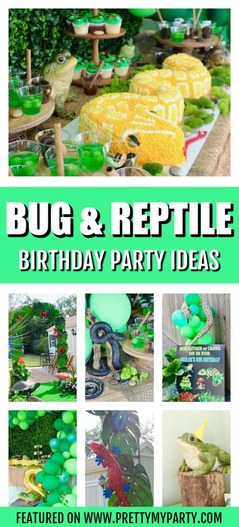 Bug and Reptile Themed Birthday Party on Pretty My Party Reptile Theme Party Food, Reptile Zoo Birthday Party, Lizard Birthday Party Ideas, Reptile Themed Birthday Party Decorations, Reptile Party Centerpieces, Rainforest Party Ideas, Leopard Gecko Birthday Party, Gecko Party Ideas, Reptile Party Decor