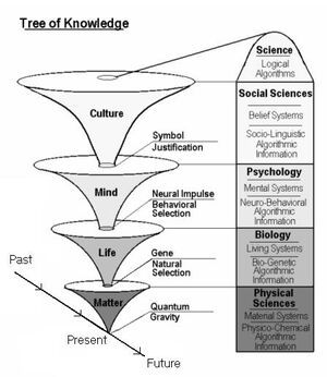 Tree of Knowledge System | Psychology Wiki | FANDOM powered by Wikia Philosophy Theories, Logic And Critical Thinking, Tree Of Knowledge, Philosophy Of Science, Systems Thinking, Matter Science, Knowledge Management, Critical Thinking Skills, Thinking Skills