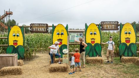 Maze Entrance, Farm Vbs, Farm Market Ideas, Corn Party, Agritourism Farms, Farm Tourism, Corn Festival, Pumpkin Patch Farm, Fall Yard Decor