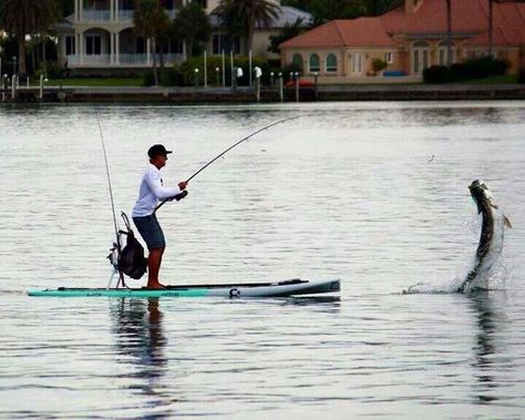 Oh yeah! Paddle Board Fishing, Paddle Boarding Pictures, Sup Fishing, Tarpon Fishing, Fly Fishing Shirts, Sup Stand Up Paddle, Salt Water Fishing, Fly Fishing Tips, Sup Surf