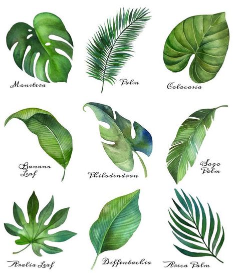 Boom Kunst, Free Printable Art, Leaf Drawing, Watercolor Printable, Cafe Logo, Printable Art Prints, 수채화 그림, Tropical Leaf, Plant Art