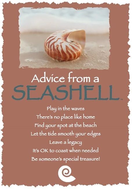 Advice From A, Seashell Quotes, Coastal Quotes, Seashells Quote, Coaster Quotes, Advice From, Plant Quotes, English Poems, Best Advice Ever