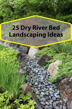 Use these ideas to help you build a dry stream river bed in your backyard River Bed Landscaping Ideas, Dry River Bed Landscaping, River Bed Landscaping, Bed Landscaping Ideas, Dry Riverbed Landscaping, Dry River Bed, Rain Garden Design, Dry Stream, Backyard Stream