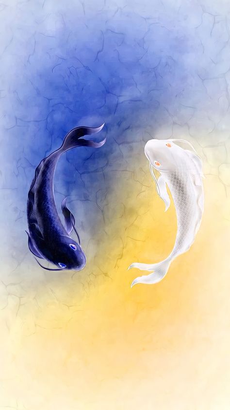 White Koi Fish Tattoo, Black And White Koi Fish, Fish Tattoo Meaning, Pisces Wallpaper, Koi Fish Tattoo Meaning, White Koi Fish, Ne Wallpaper, Phone Wallpaper Pastel, Dynamic Wallpaper